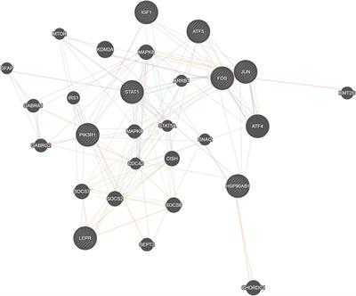 Study of hub nodes of transcription factor-target gene regulatory network and immune mechanism for type 2 diabetes based on chip analysis of GEO database